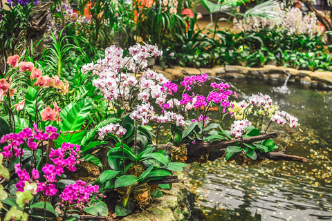 Singapore: National Orchid Garden Admission