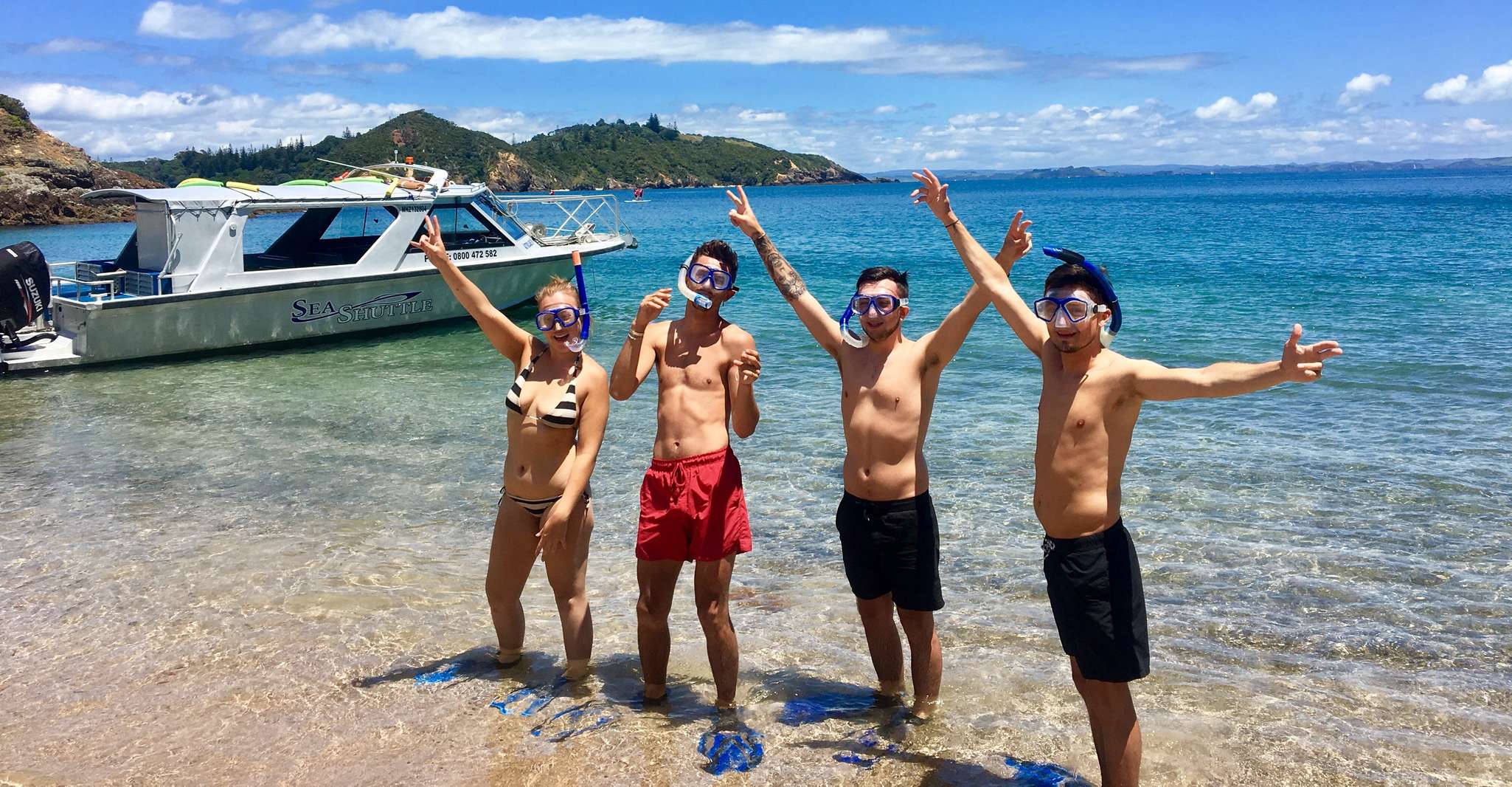 Desde Paihia, crucero escénico con escala de la isla Roberton - Hizvo