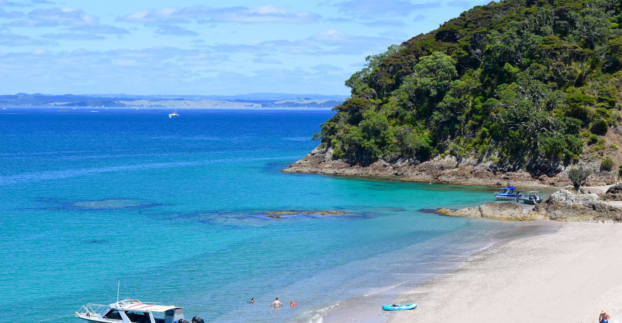 Desde Paihia, crucero escénico con escala de la isla Roberton - Hizvo