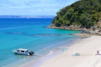 Von Paihia, Scenic Cruise mit Roberton Island Stopover - Hizvo