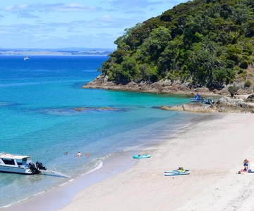 From Paihia: Scenic Cruise with Roberton Island Stopover