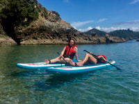 Von Paihia, Scenic Cruise mit Roberton Island Stopover - Hizvo