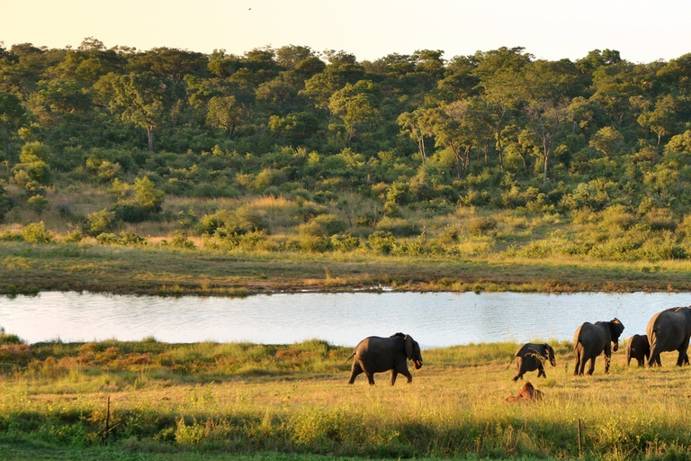 Från Victoriafallen: Dagsutflykt och safari i Hwange nationalpark