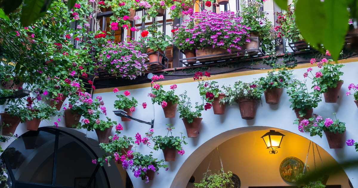 Visita Guiada En Español A Los Patios De Córdoba Getyourguide 3116