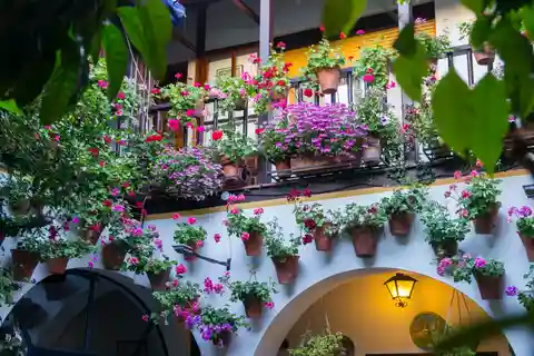 Visita guiada en español a los patios de Córdoba
