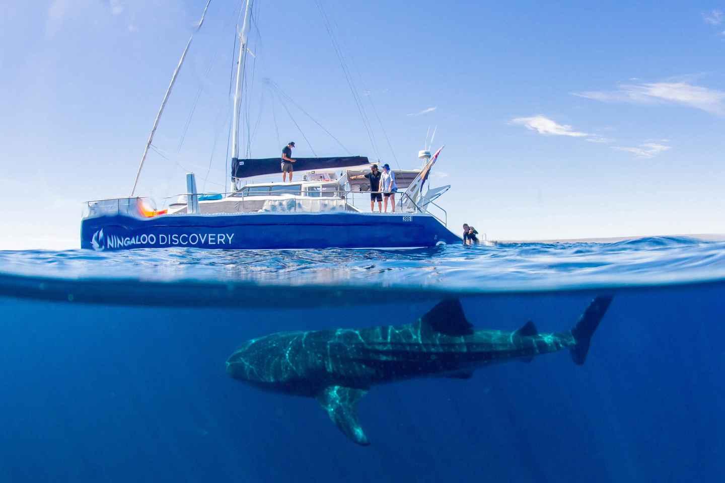ningaloo reef