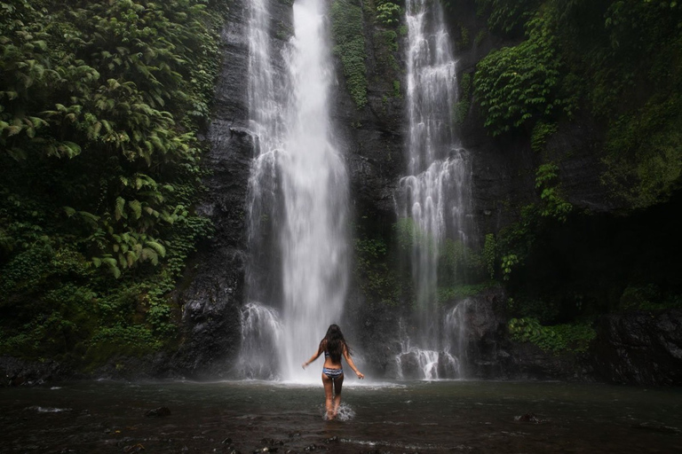 Northern Charm: Lake Bratan, Handara Gate, Waterfall & Swing Northern Charm Tour