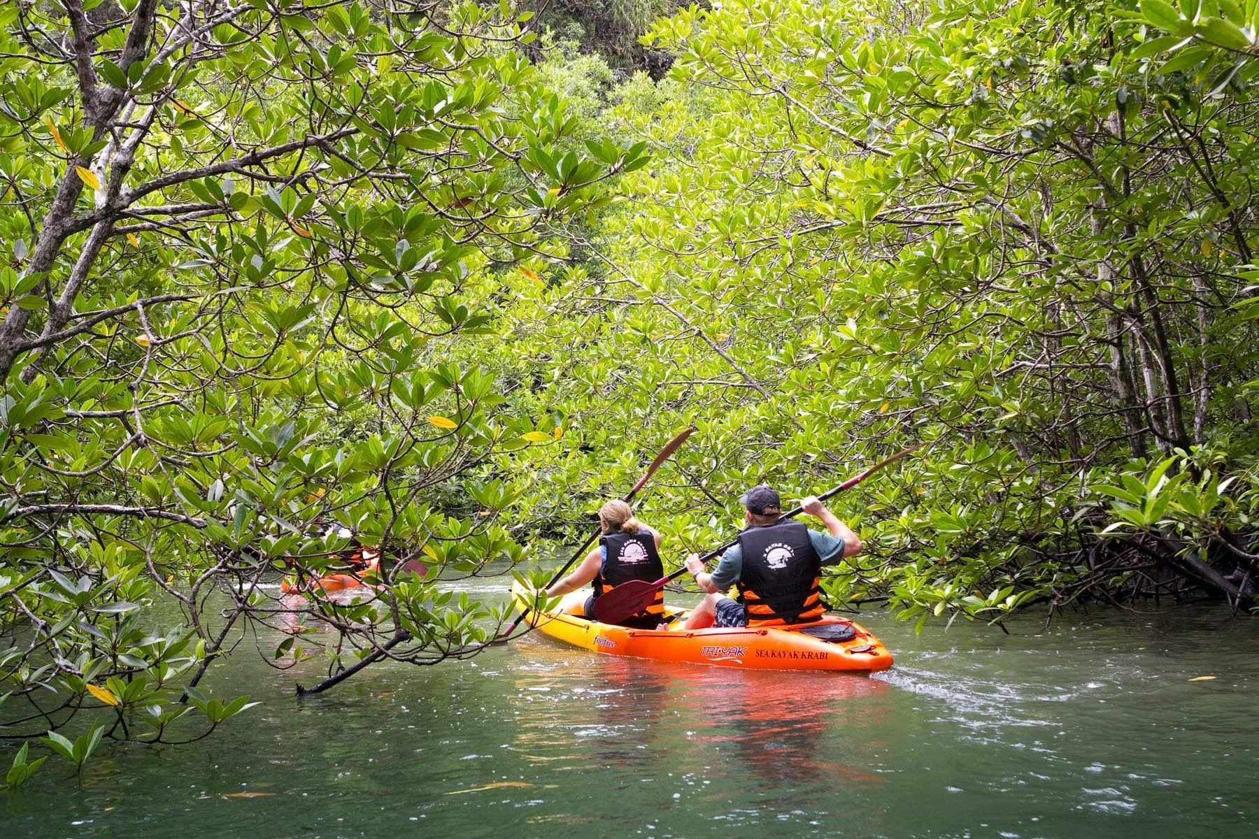 Seekajakfahren in Ao Thalane & optionaler Ganztagesausflug zur Insel Hong