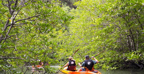Sea Kayaking in Ao Thalane & Optional Full-Day Hong Island
