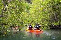 Kayak de mar en Ao Thalane y opcional de día completo de la isla de Hong - Hizvo