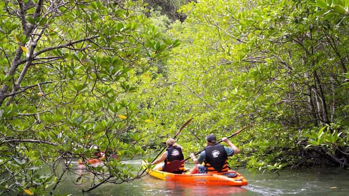 sea kayaking in ao thalane optional fullday hong island