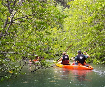 Sea Kayaking in Ao Thalane & Optional Full-Day Hong Island