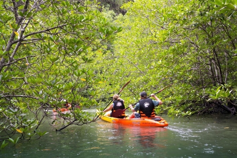 Krabi: Private Sea Kayaking in Ao Thalane and Hong Island 4-Hour Sea Kayak with Lunch: Ao Thalane