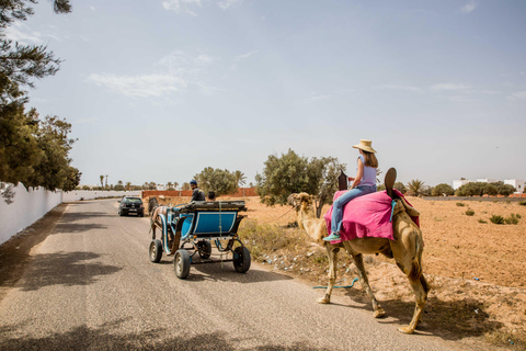 Blaue Lagune 2H Kutschfahrt in DjerbaTraditionelle Pferdekutschenfahrt in Djerba