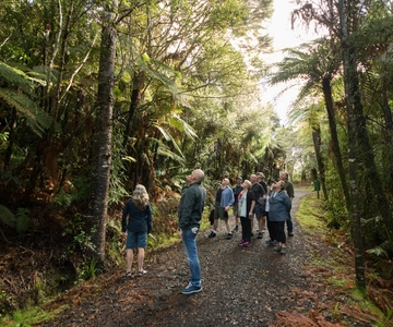 Auckland City, Beaches & Rainforest Premium Wycieczka w małej grupie