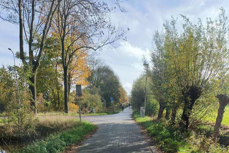 Classic Dutch Ride Utrecht: with Drinks and Snacks