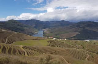 Ab Porto: Weintour im Douro-Tal mit 3 Weingütern & Mittagessen