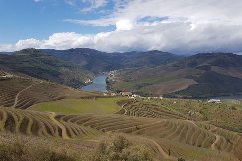 Vallée du Douro : visite de 3 vignobles avec déjeuner