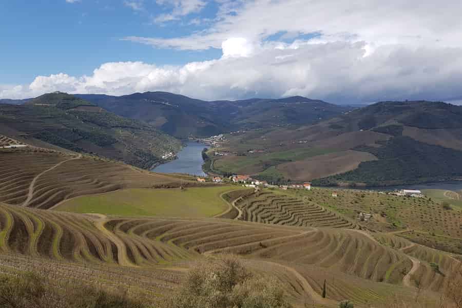 From Porto: Douro Valley Wine Tour with 3 Wineries & Lunch