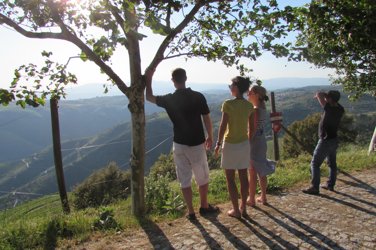 Vallée du Douro : visite de 3 vignobles avec déjeuner