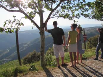 Porto: 3 Vinhas do Douro com Almoço