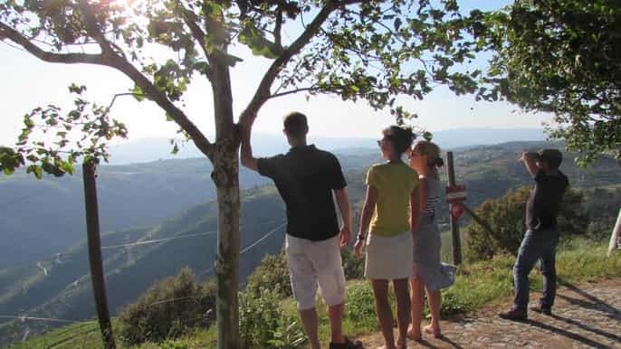 douro valley 3 vineyards tour with lunch