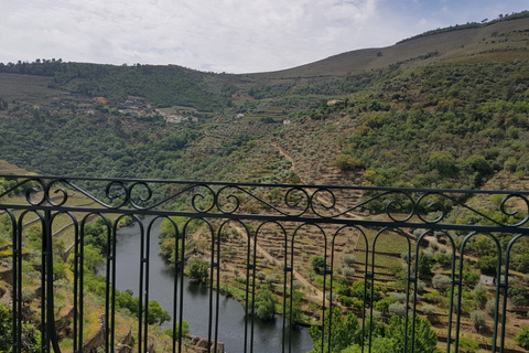 Douro-Tal: Tour mit 3 Weingütern und Mittagessen