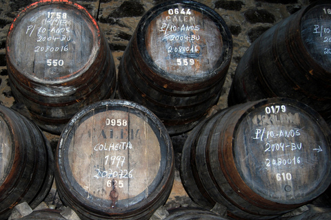 Porto: 3-Hour Port Wine Walking Tour with Tastings