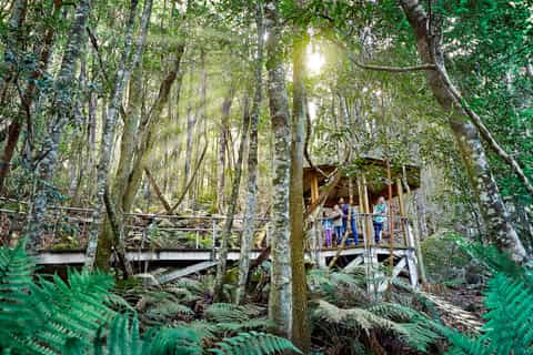 Blue Mountains: Small Group, All-Inclusive Tour