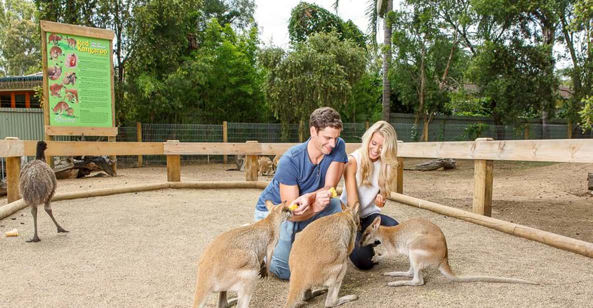 Blue Mountains: Small Group, All-Inclusive Tour