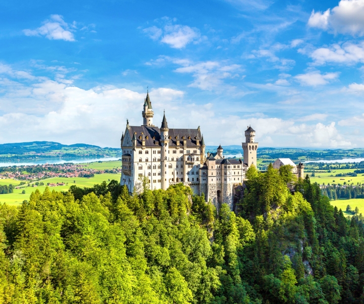 Fra München: Neuschwanstein Castle Full-Day Trip med Van