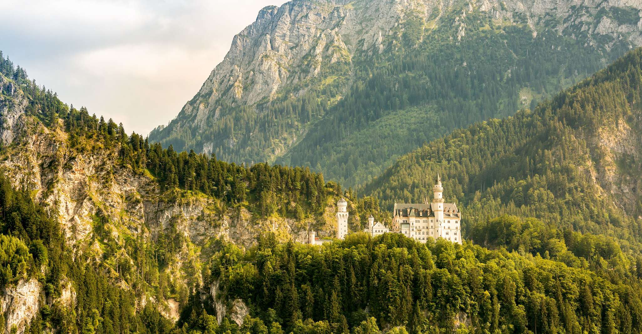 From Munich: Neuschwanstein Castle Full-Day Trip by Van photo 5