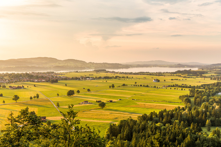 From Munich: Neuschwanstein Castle Full-Day Trip