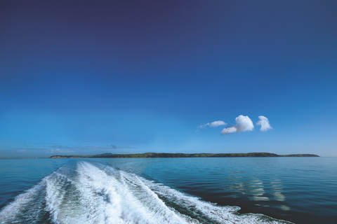 Auckland : Croisière panoramique dans le port