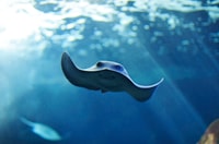 Cala Gonone, Cala Gonone Aquarium Entry Ticket - Housity