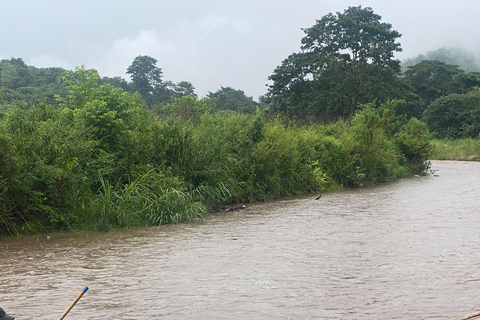 Chiang Mai: One Day Eco-Trek, Elephant care & Bamboo Rafting