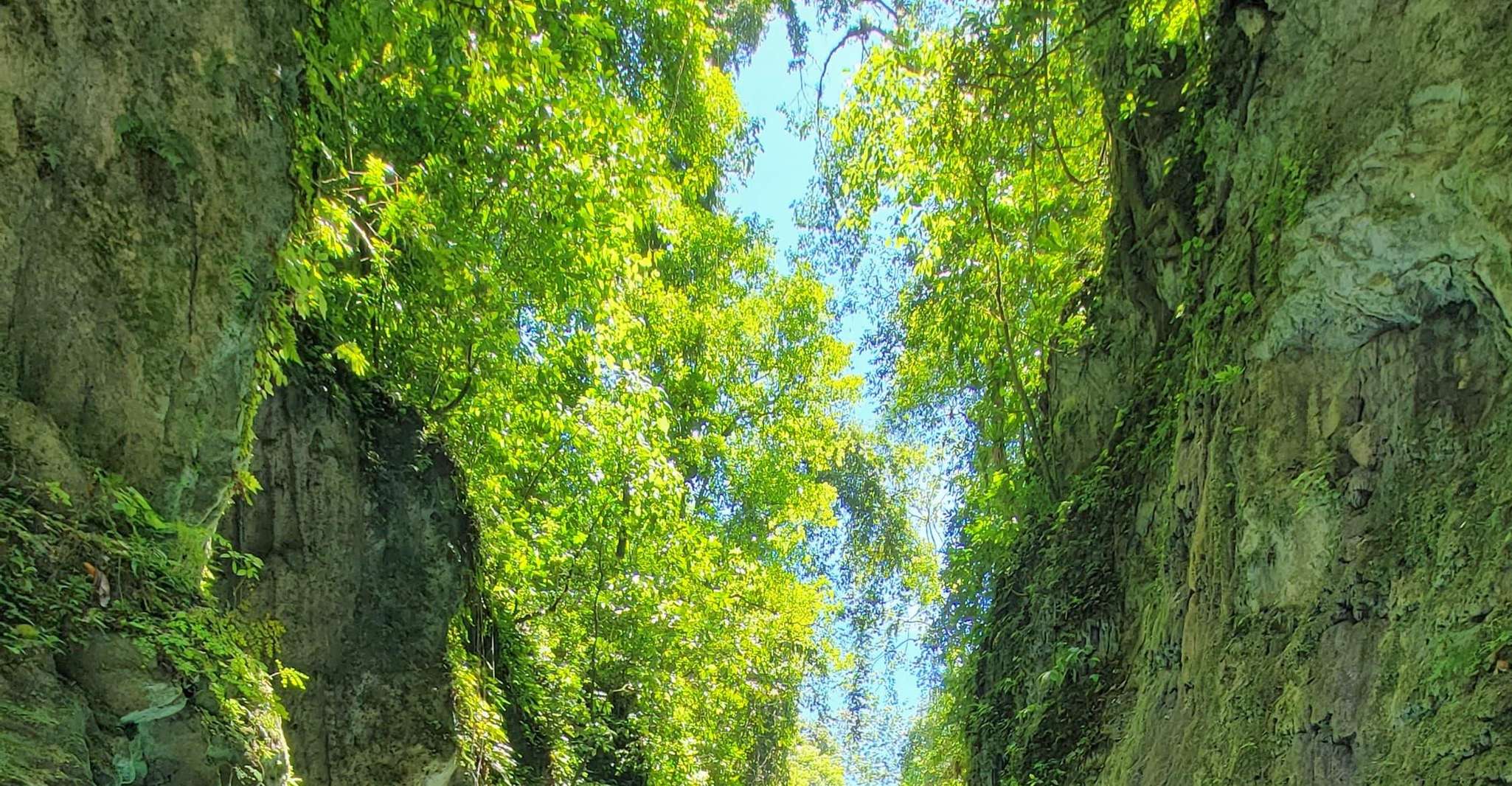 6 Hour Rio Partido's Secret River Trail with Lunch - Housity