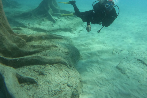 Ayia Napa: MUSAN Dives For Beginners - 2 persons - 2 Dives
