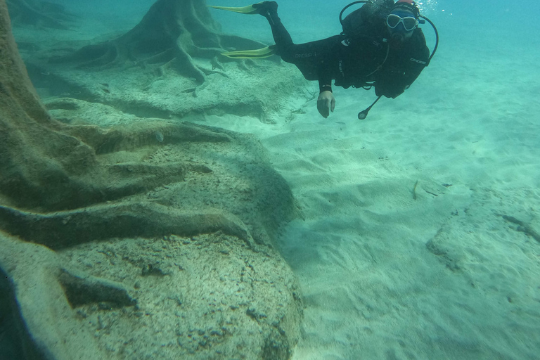 Ayia Napa: MUSAN Dives For Beginners - 2 persons - 2 Dives