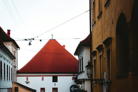 Zagreb : le cœur de la Croatie - Medvedgrad - Visite privée