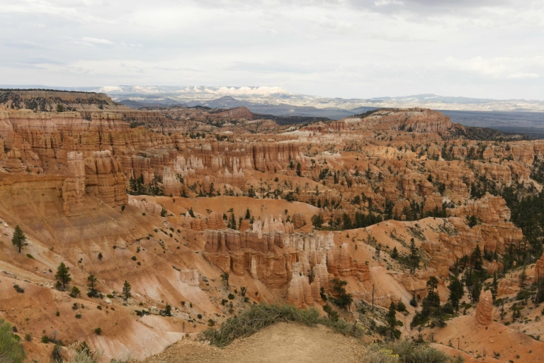 3-day Tour of Bryce, Zion and Grand Canyon from Las Vegas Quad Room