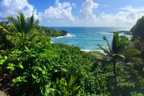 maui fullday road to hana sightseeing bus tour