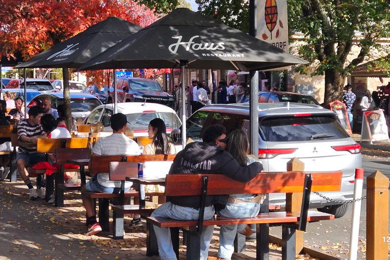 Adelaide Shore Excursion: Guided Day Tours with Port Pickup Step Ashore: Adelaide Hills Food & Wine Tour