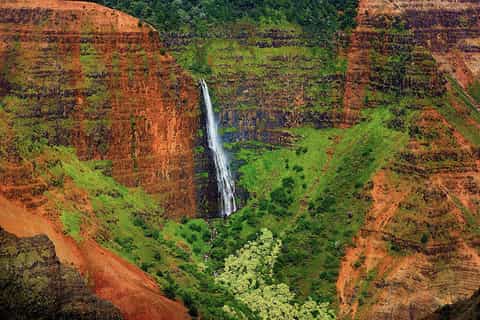 Kauai: Waimea Canyon Half-Day Morning Bus Tour