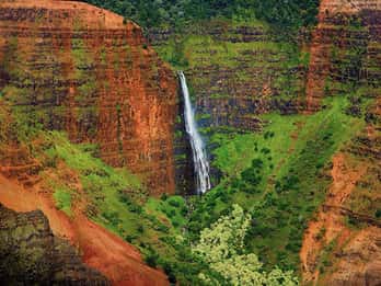 Kaui: Halbtägige Waimea Canyon Bustour Kaui: Halbtägige Waimea Canyon Bustour