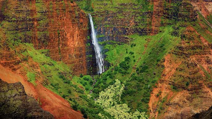 kauai waimea canyon halfday morning bus tour