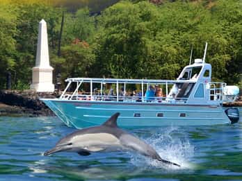 Big Island: Delfin- und Riff-Schnorcheln Big Island: Delfin- und Riff-Schnorcheln