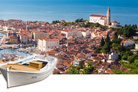 From Koper: Small Group Slovenian Coastal Villages Tour