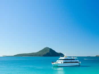 Port Stephens: Dolphin Watching Cruise