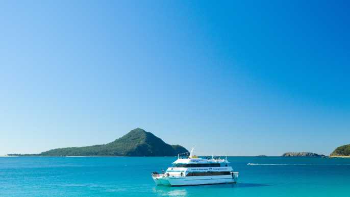 Port Stephens: Dolphin Watching Cruise